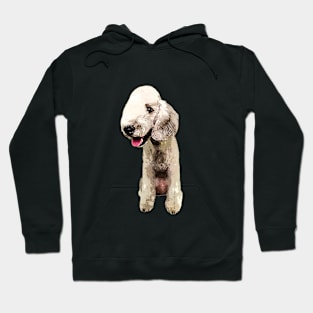 Bedlington Terrier Cute Pup Hoodie